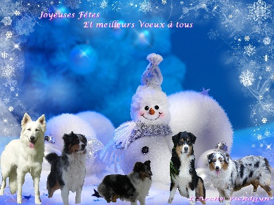 De L'arche Vickdgyn - ATTENTION !!!!!!!!!!!!!!!!!!!!!!