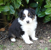 FIRST LITTLE BOY